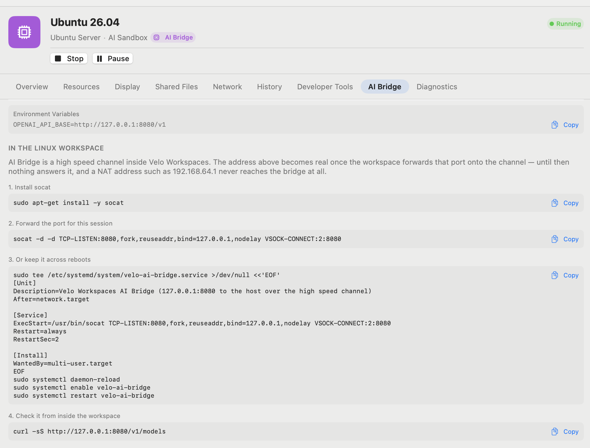 The AI Bridge tab inside a running workspace, showing the Environment Variables and the four copy-pasteable setup commands
